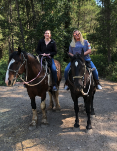 horses