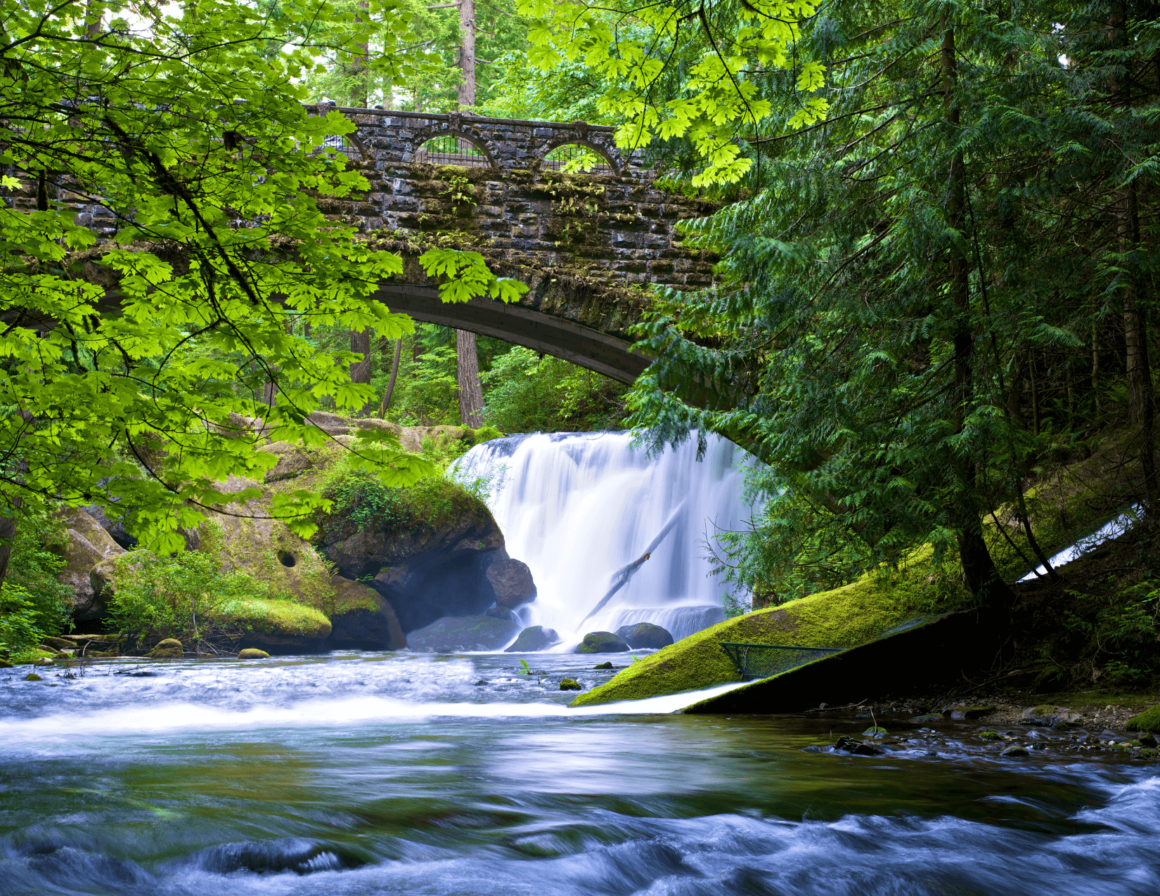 Whatcom falls in Bellingham, WA.